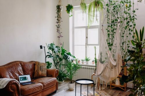 woonkamer en planten